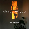 Ed Sheeran-Shape of You（GRABOTE remix）