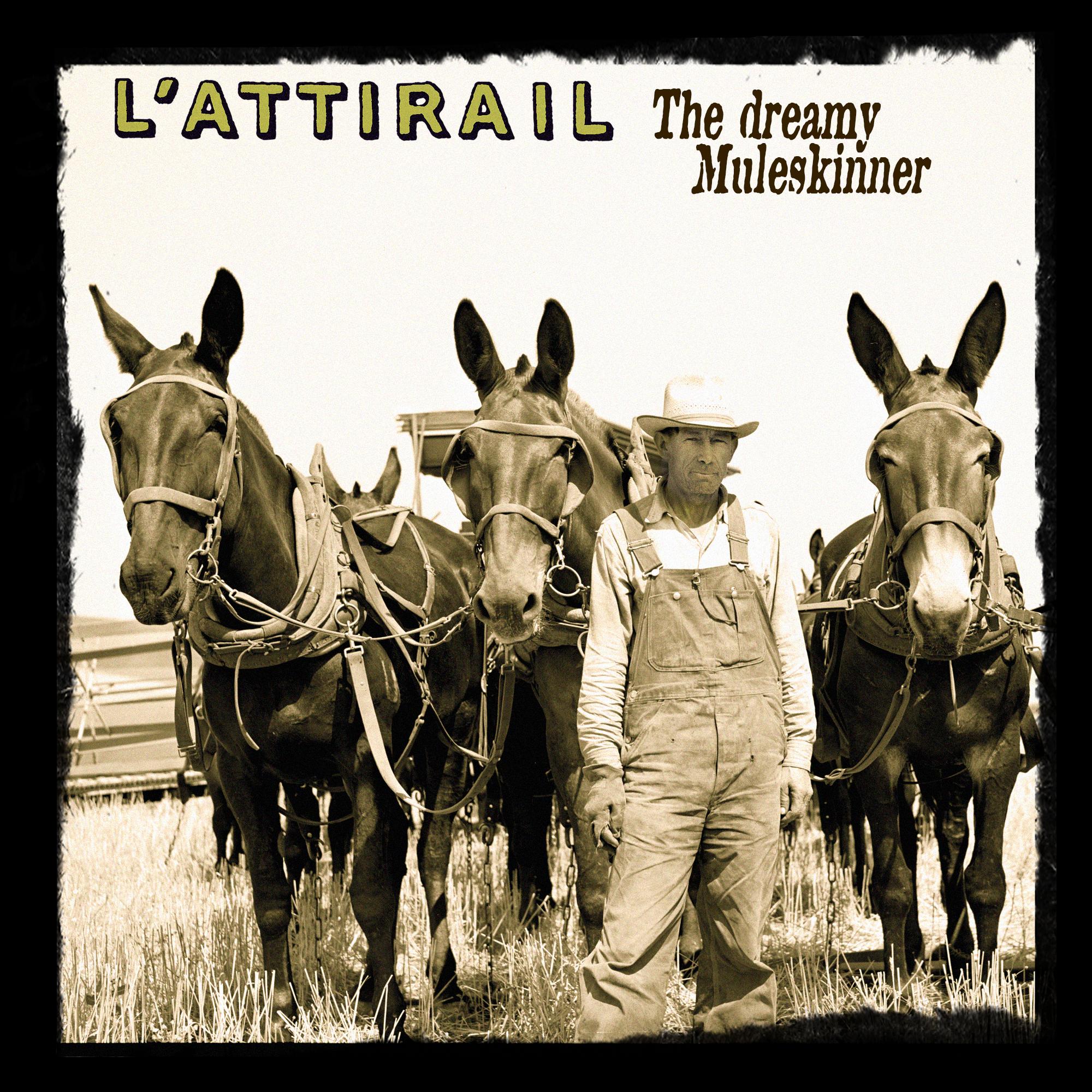 The Dreamy Muleskinner