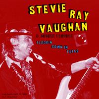 I\'m Crying - Stevie Ray Vaughan (unofficial Instrumental)