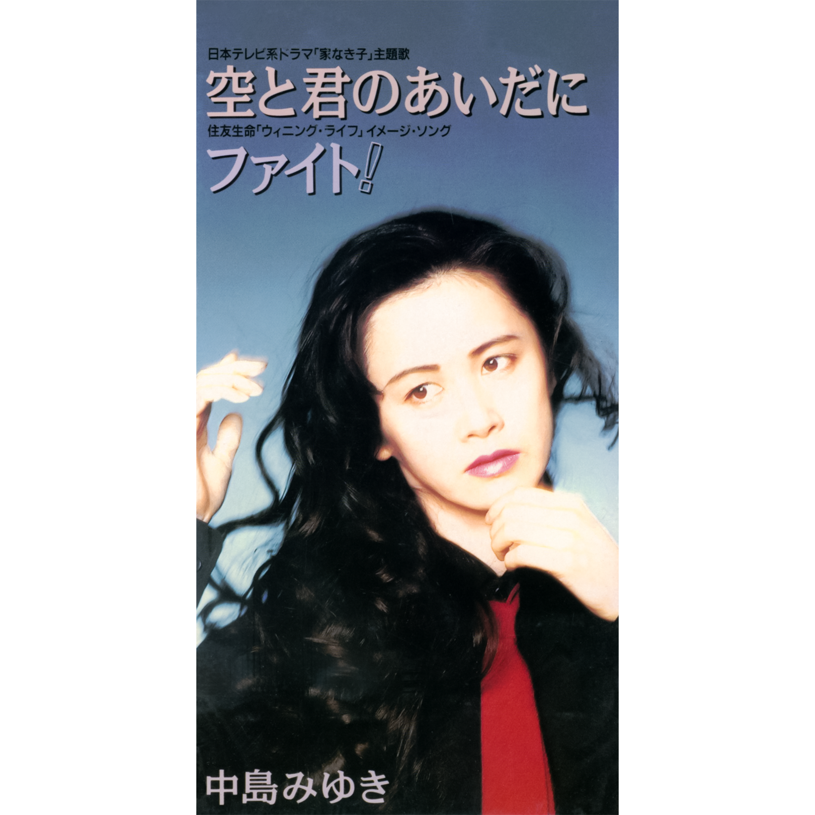 空と君のあいだに