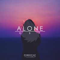 (Alan Walker)Alone * 伴奏版