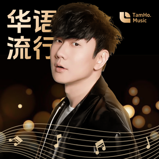 华语经典 | 那些属于我们青春的一首歌曲