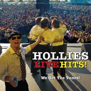 The Hollies - On A Carousel (PT karaoke) 带和声伴奏
