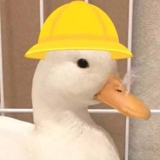 抖音叶建楠今晚打老虎类似歌单