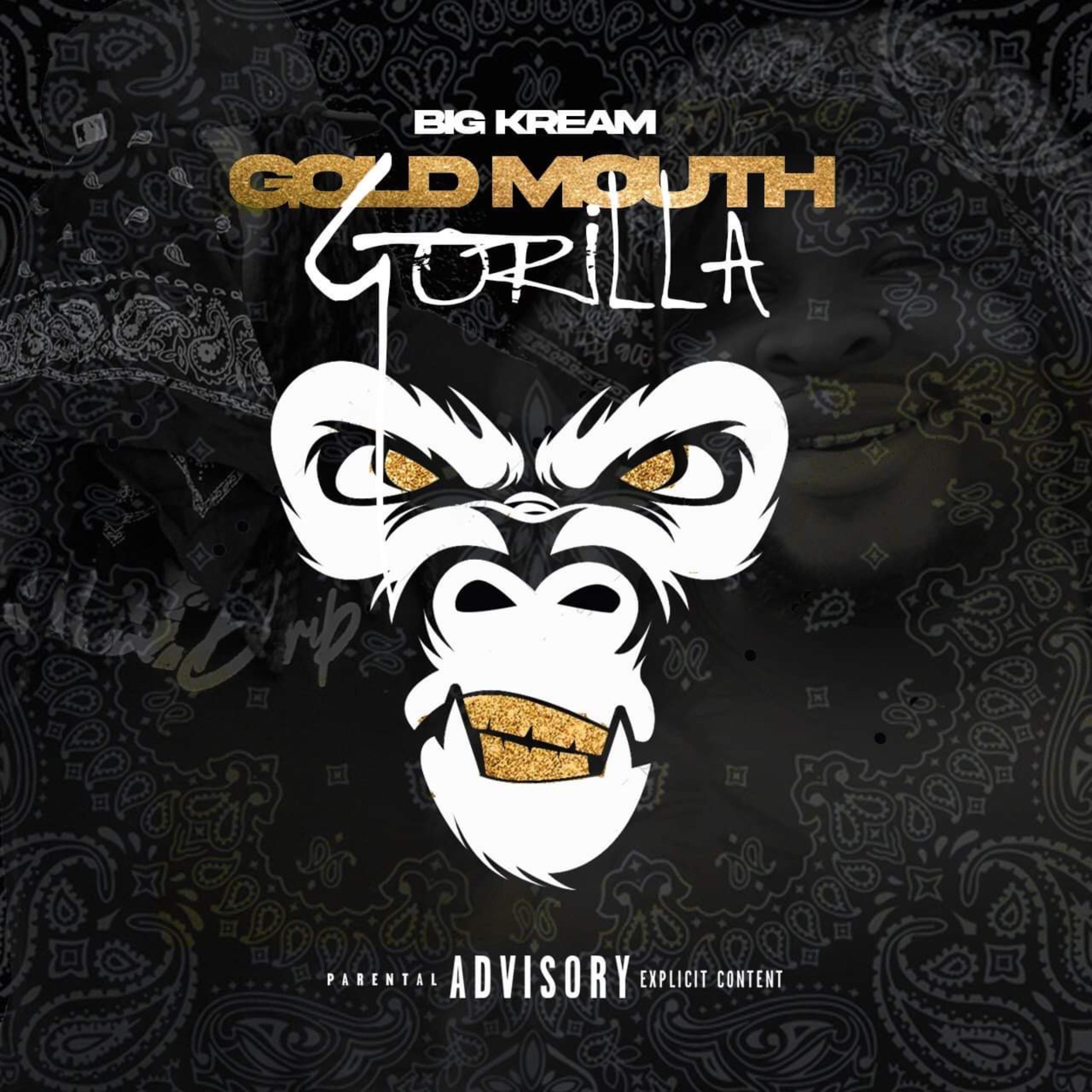 所属专辑:gold mouth gorilla 相似歌曲 网易云音乐多端下载 同步歌单