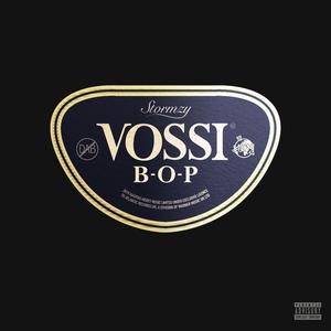 Vossi Bop - Stormzy (HT Instrumental) 无和声伴奏 （降2半音）