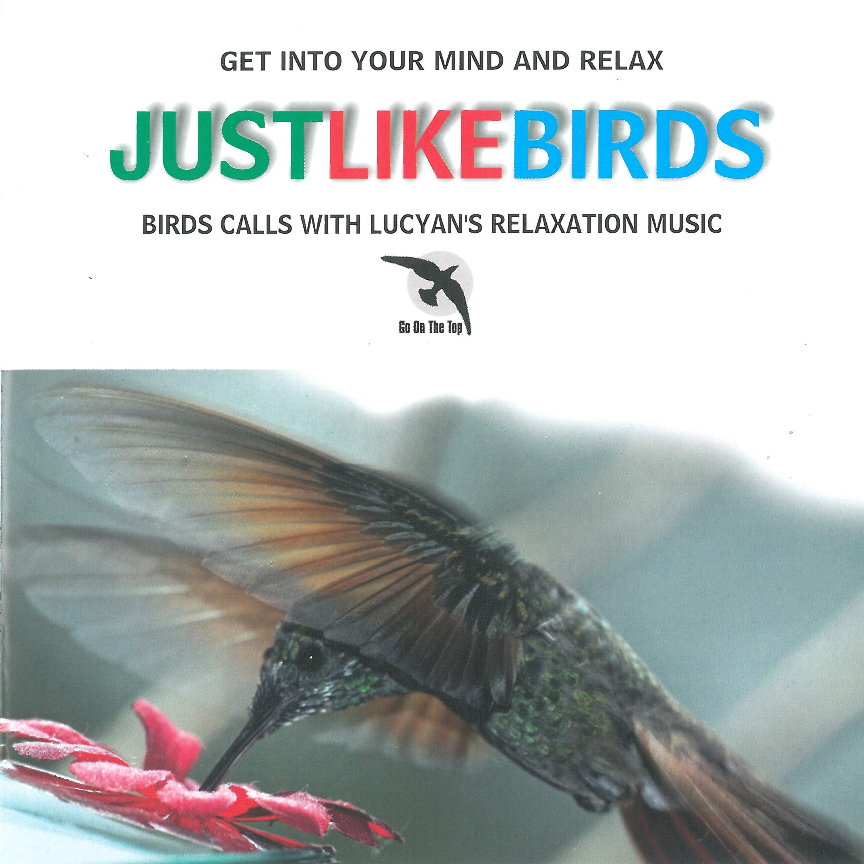 Just Like Birds