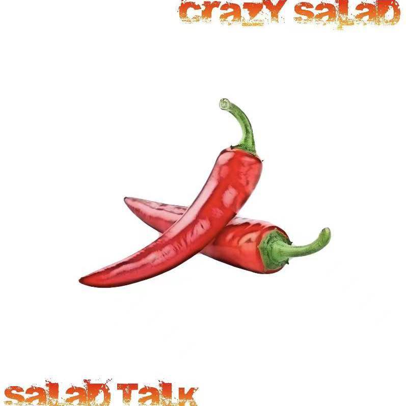 SALADTALK