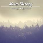 13 Music Therapy Sounds - Massage & Spa Music专辑