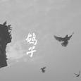 鸽子