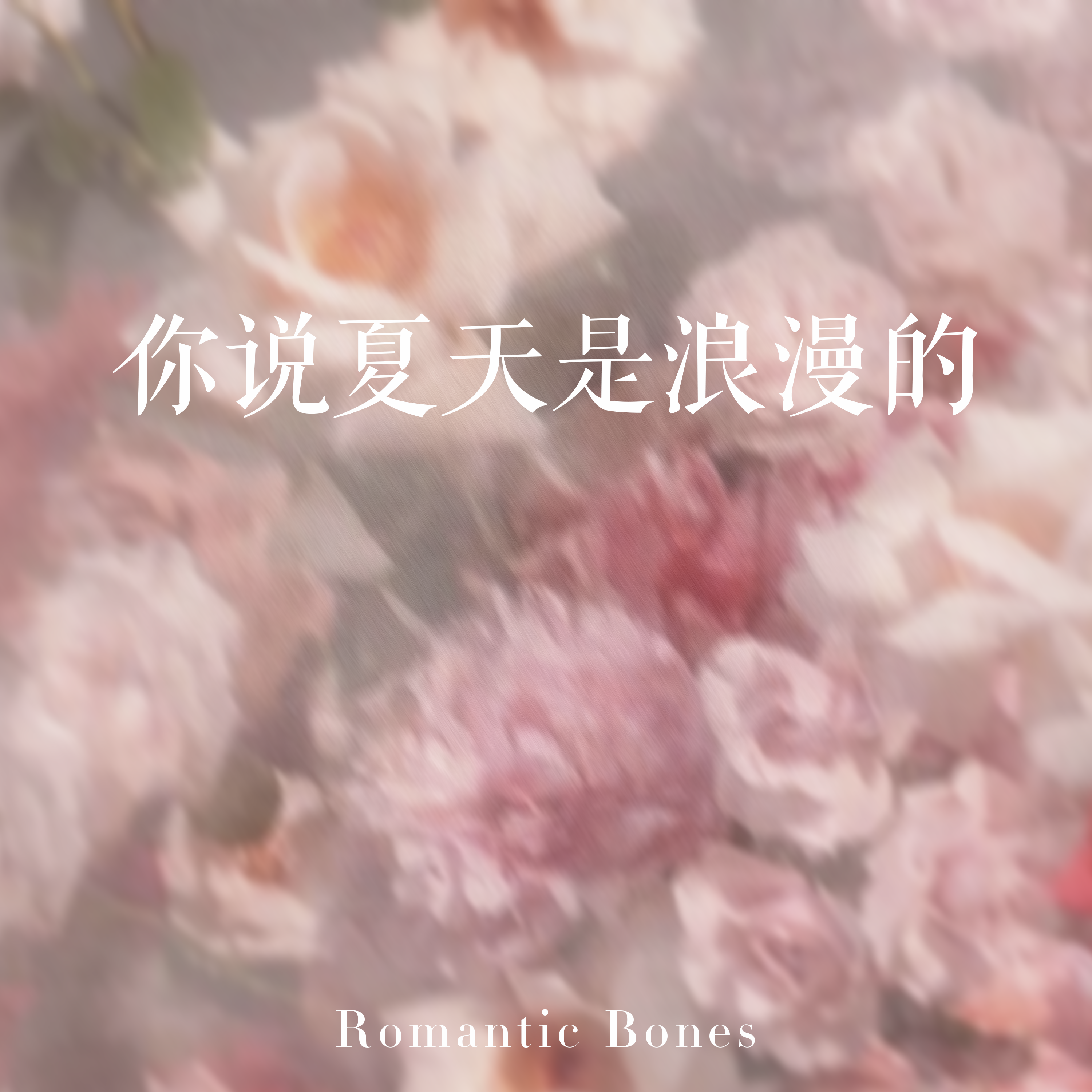 你说夏天是浪漫的
