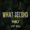 What Second(WiLi vip Mix)