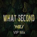 What Second(WiLi vip Mix)专辑