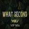 What Second(WiLi vip Mix)专辑