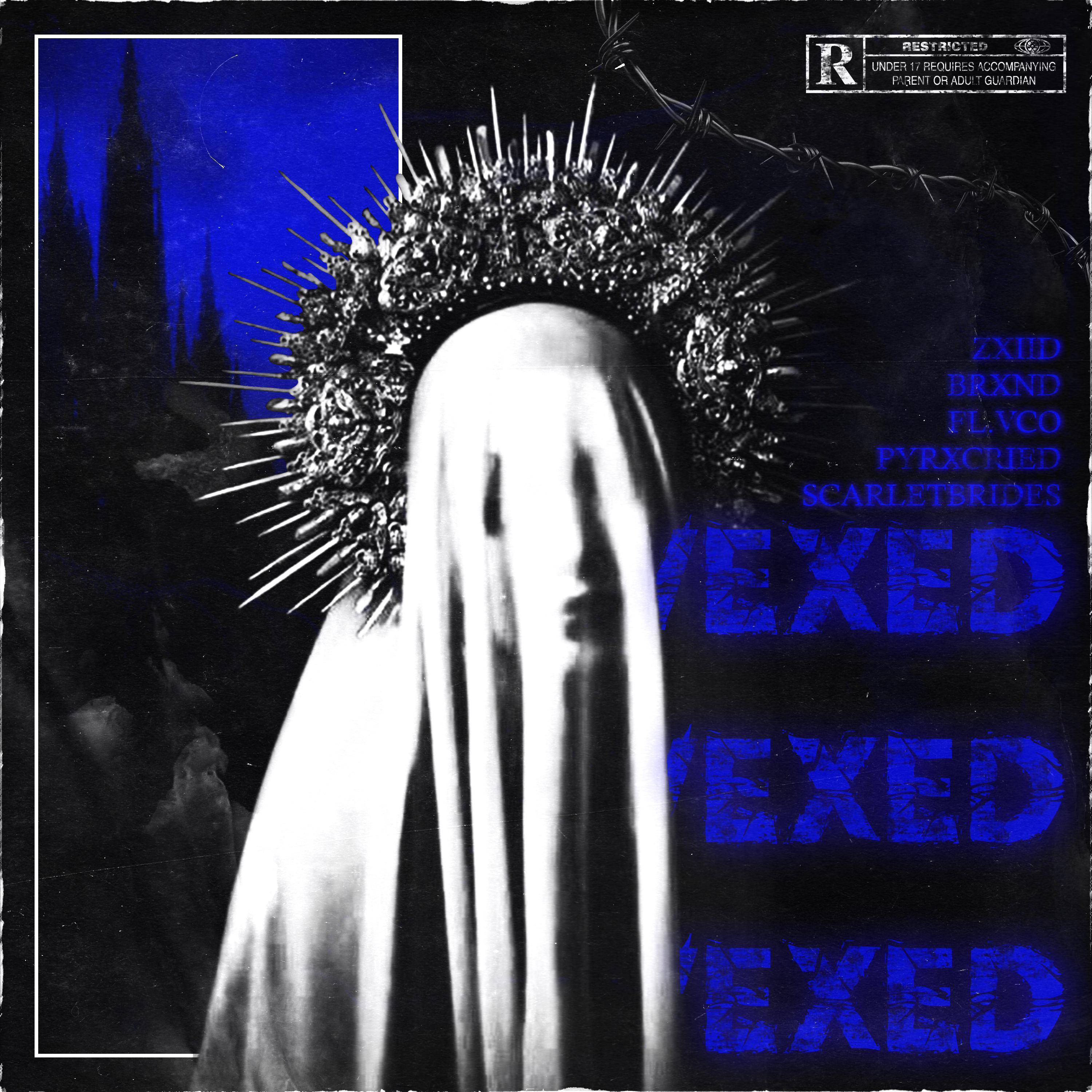 VEXED! (feat. ZxiiD & FL.VCO)