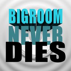 Bigroom Never Dies (Ashilin Bootleg)