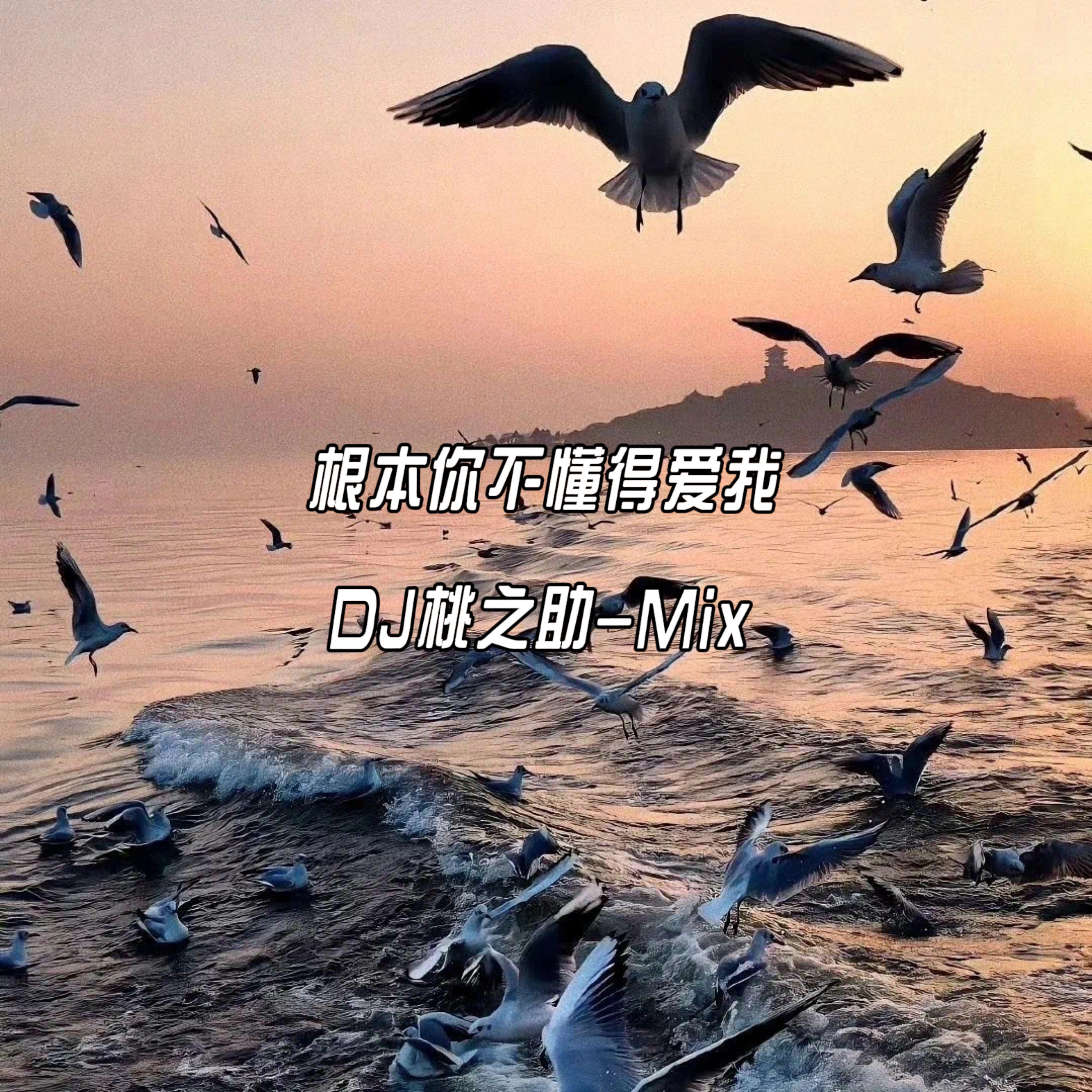 根本你不懂得爱我