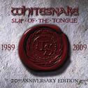 Slip Of The Tongue (20th Anniversary Expanded Edition)专辑