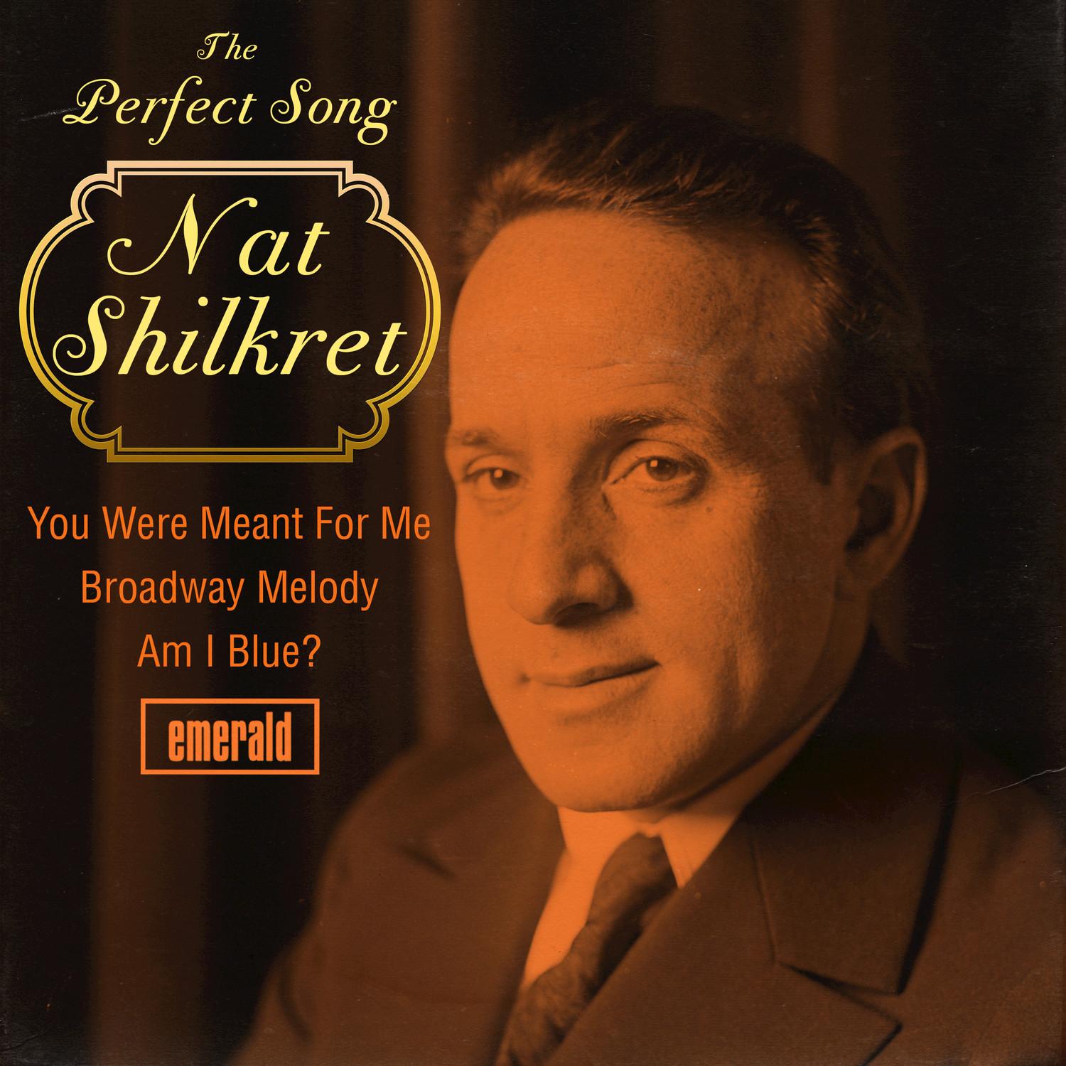 The Perfect Song