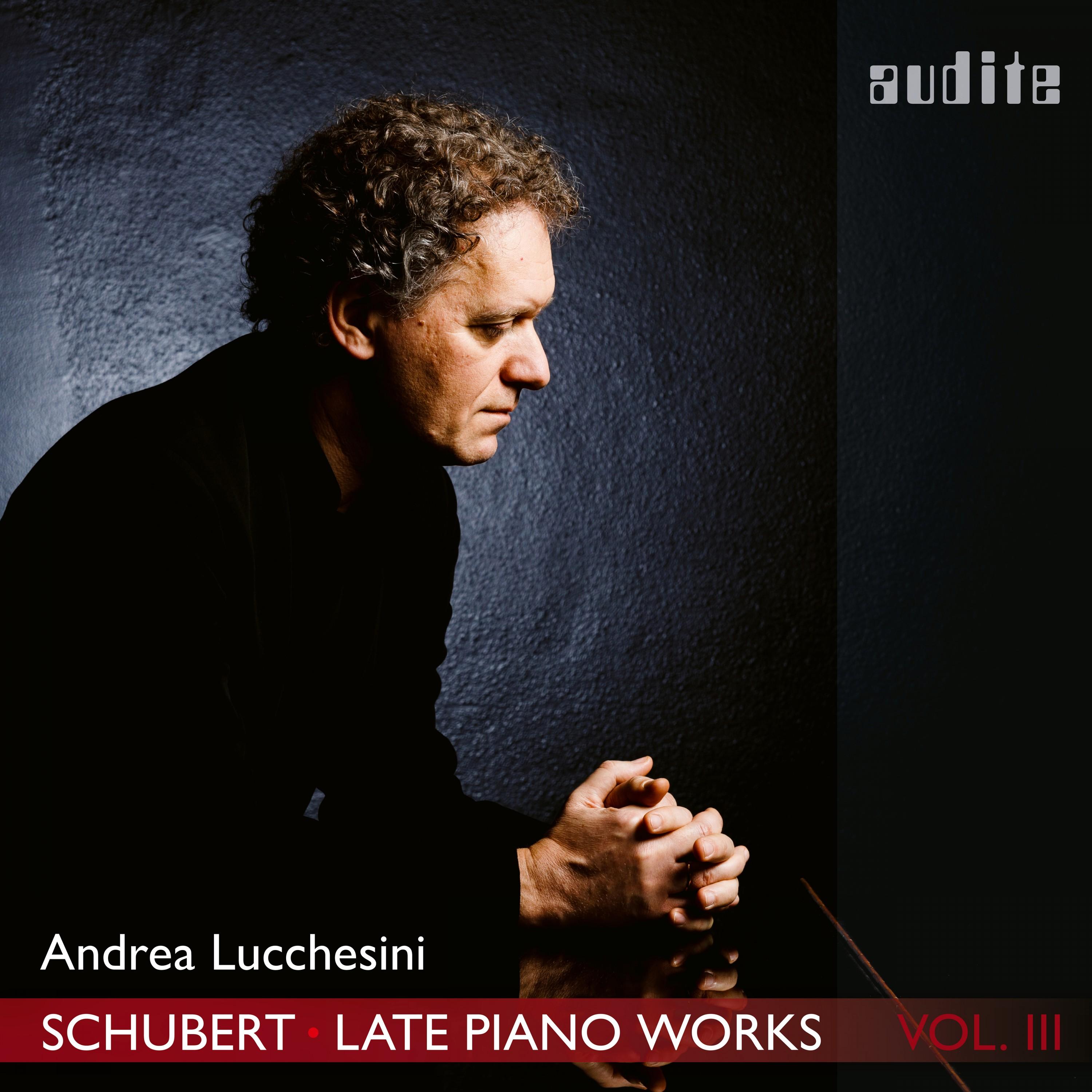 Schubert: 'Menuetto. Allegro' from Piano Sonata No. 19, D. 958