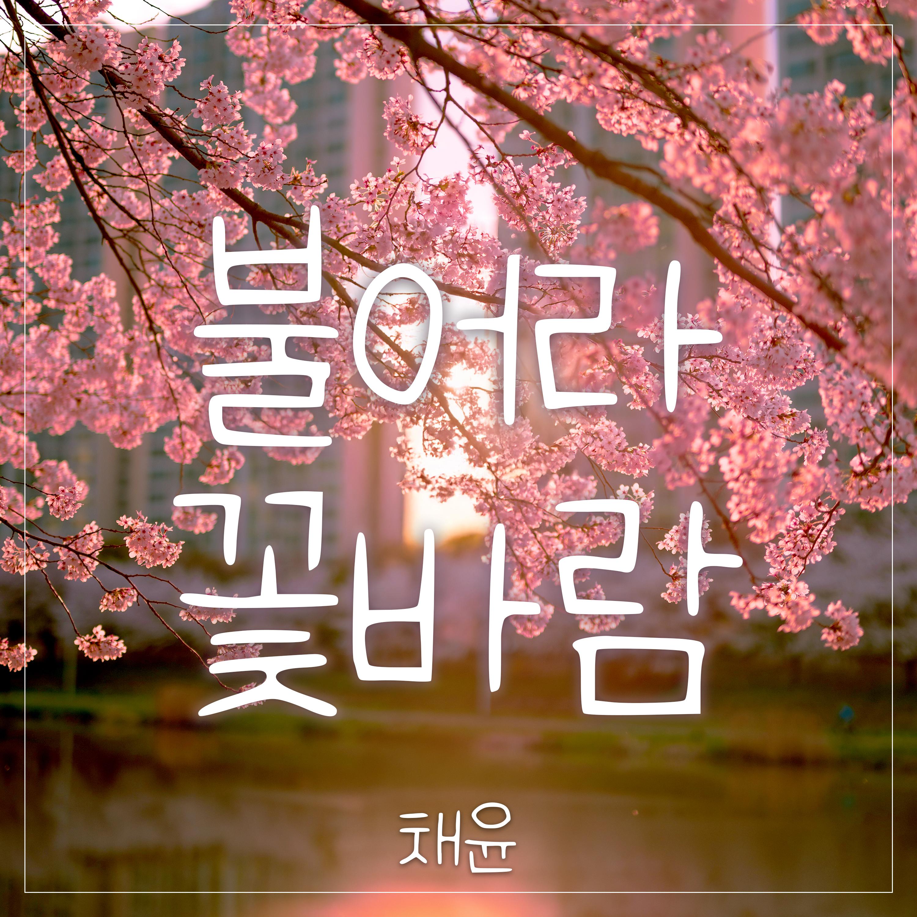 불어라 꽃바람专辑