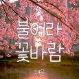 불어라 꽃바람