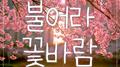 불어라 꽃바람专辑