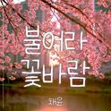불어라 꽃바람专辑