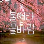 불어라 꽃바람专辑