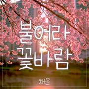 불어라 꽃바람