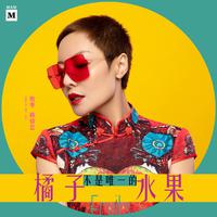魏佳艺 - 橘子不是唯一的水果(无损原版伴奏)