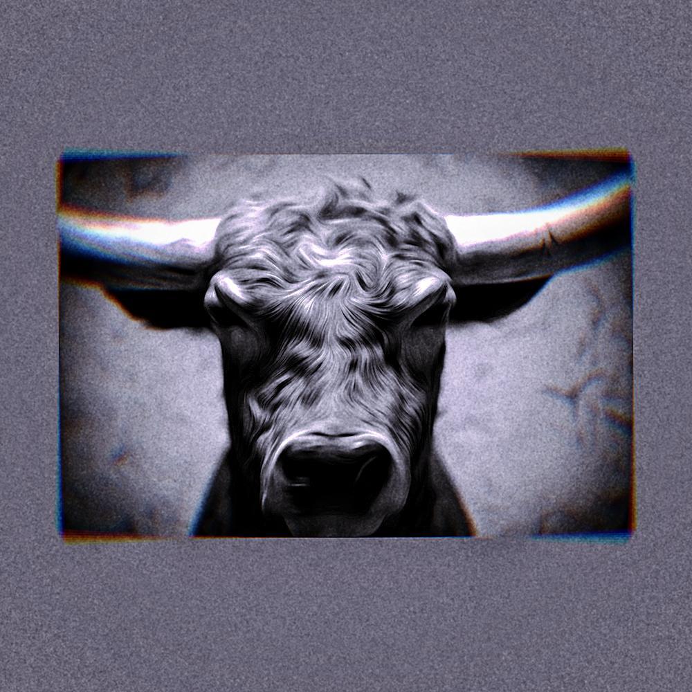 BULL