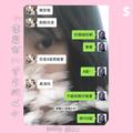 今晚熊仔早睡了嘛？(prod.by Sliker)