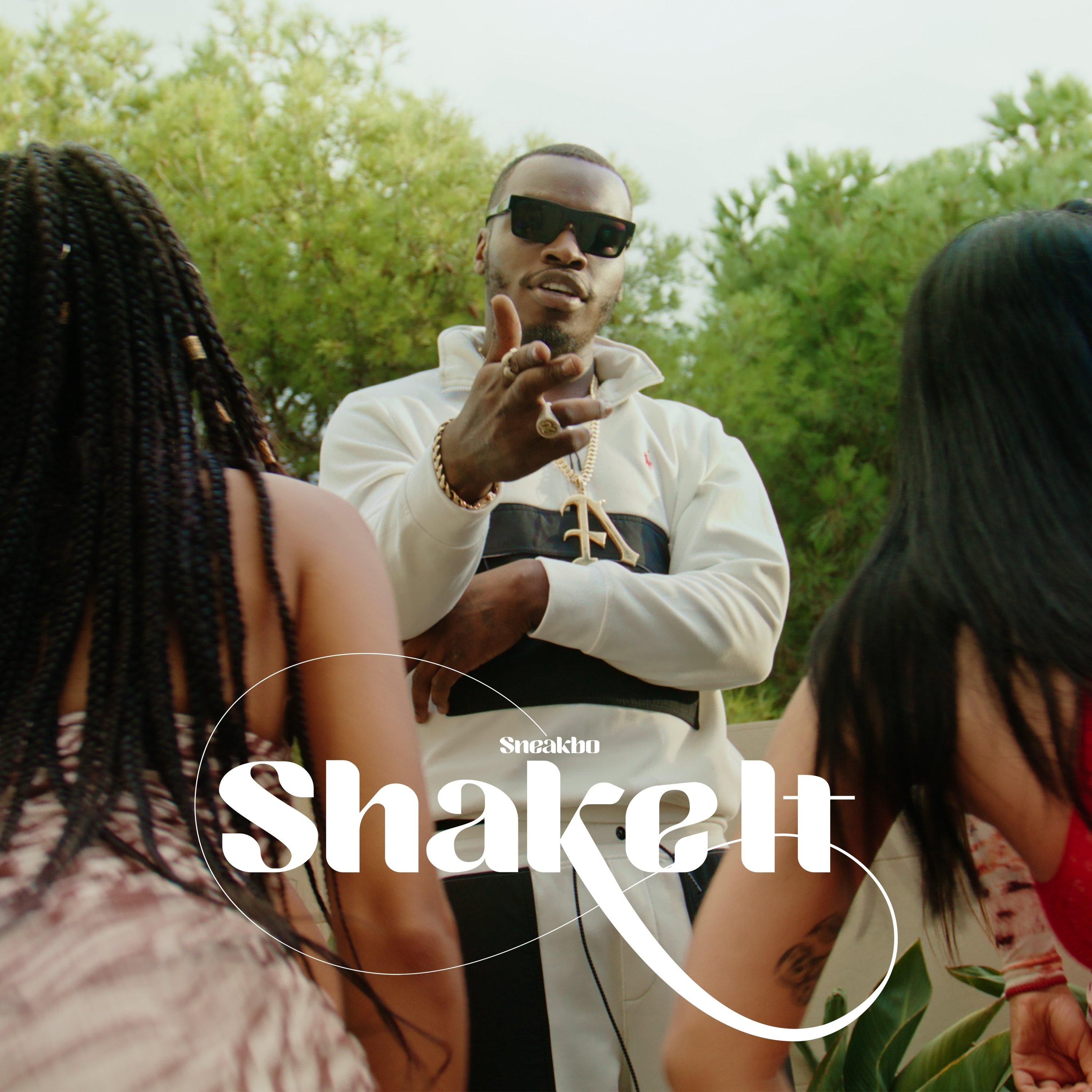 Shake It
