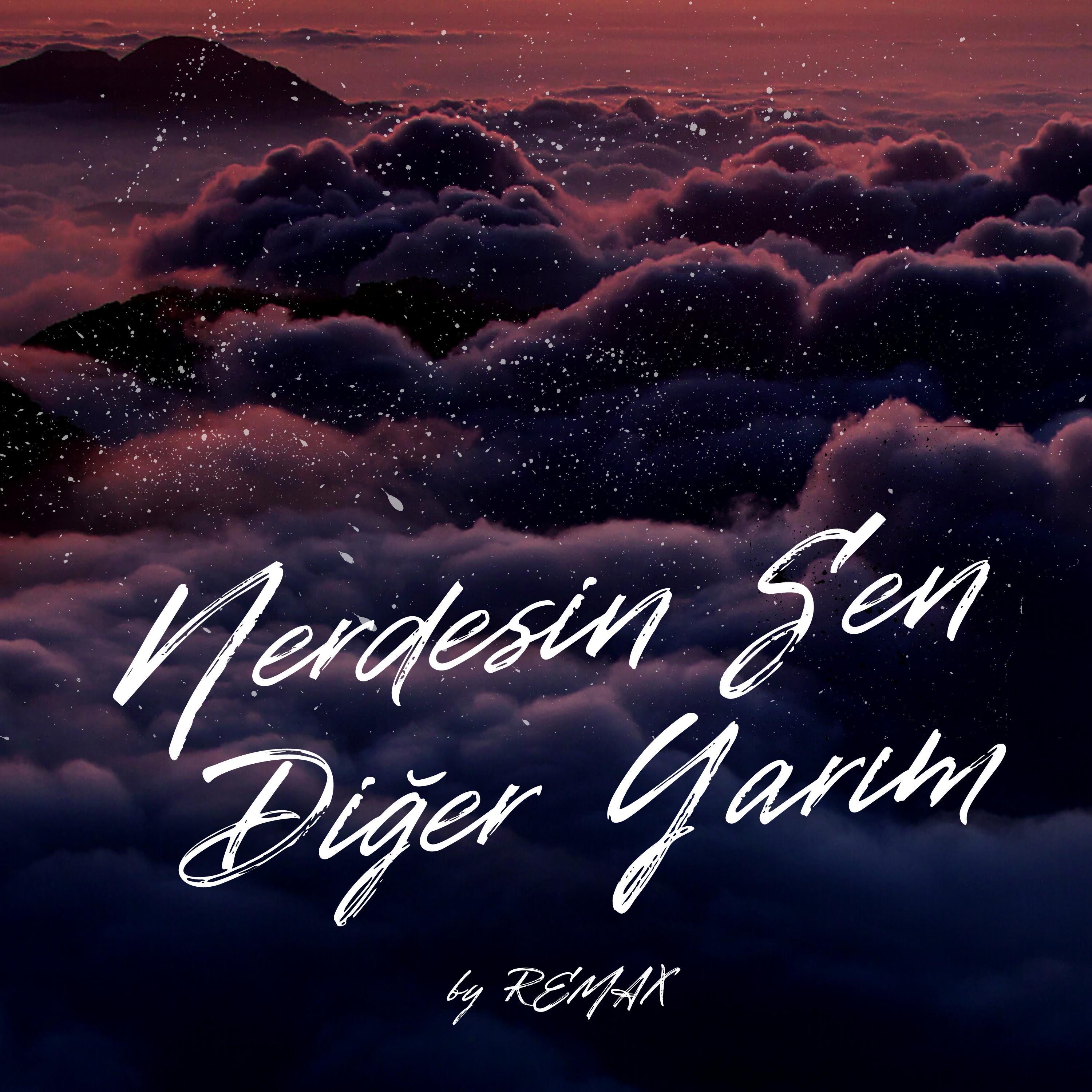 Nerdesin Sen Diğer Yarım