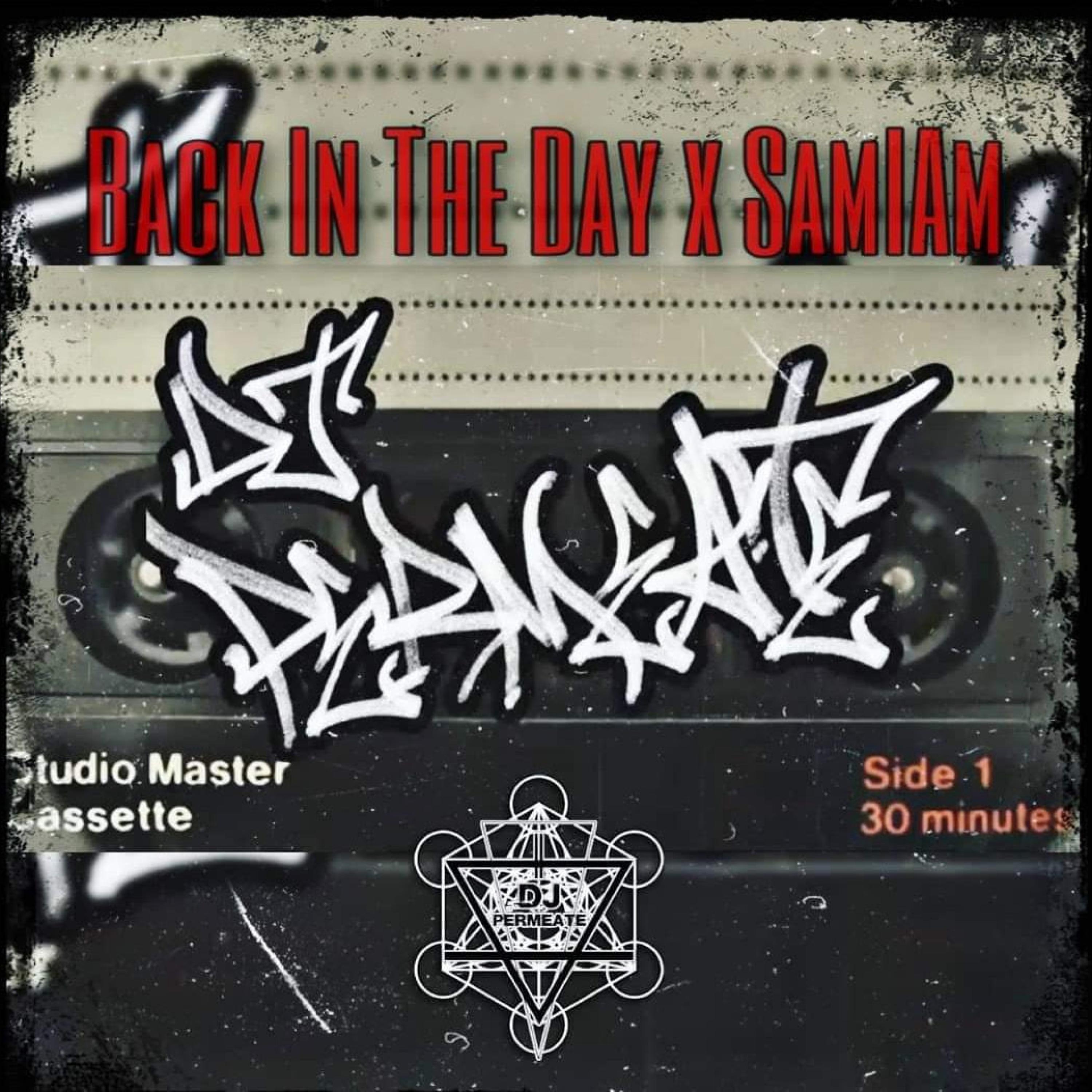 Back In The Day (feat. DJ Permeate)