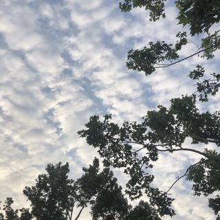 『独立音乐』最近很想你 最远也是
