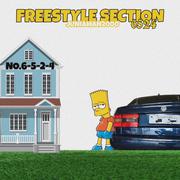 6-5-2-4 Freestyle Section