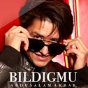 Bildigmu