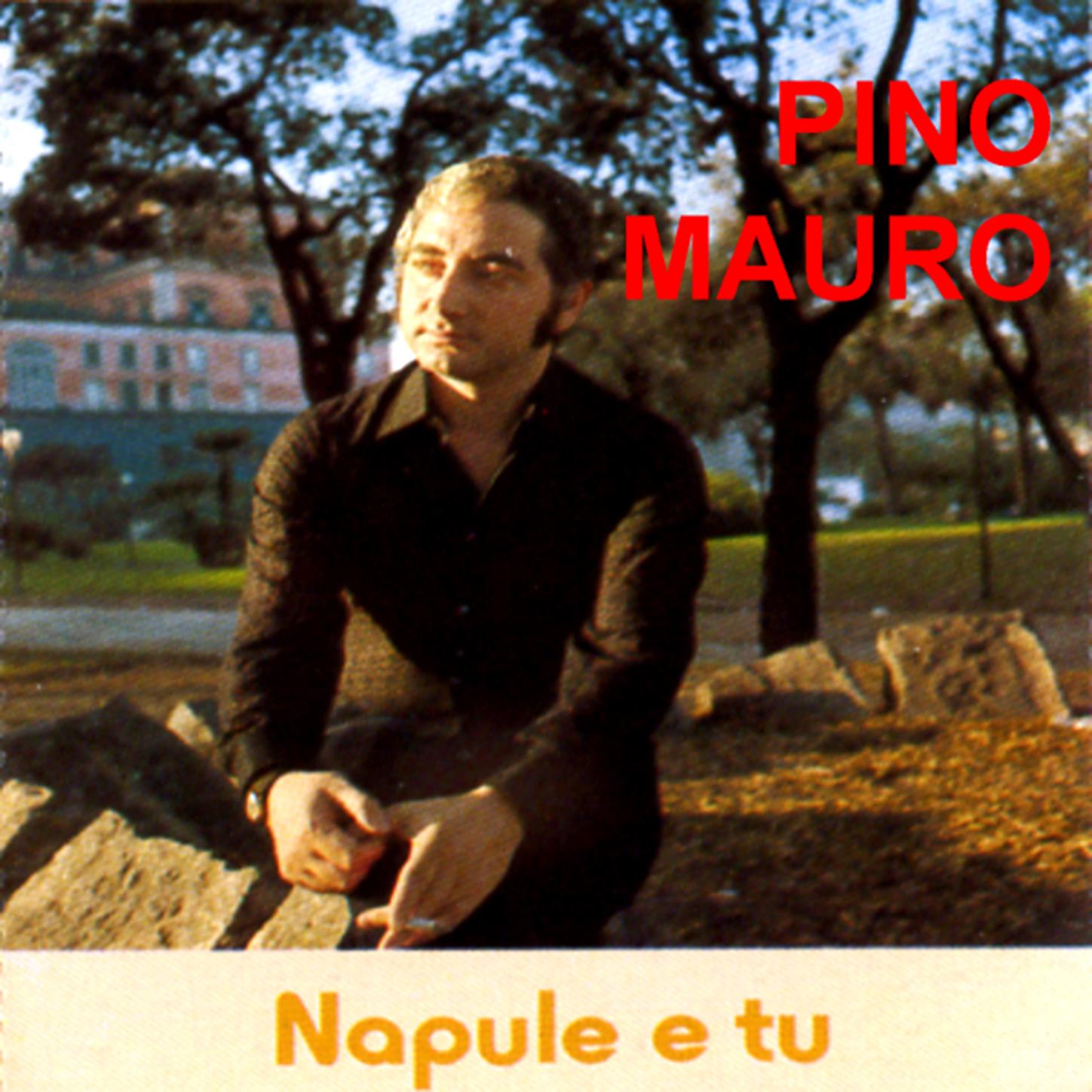 Napule e tu