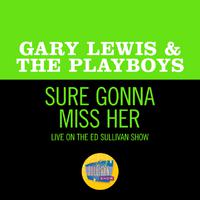 Sure Gonna Miss Her - Gary Lewis & the Playboys (SC karaoke) 带和声伴奏