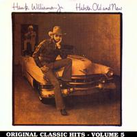原版伴奏   Dinosaur - Hank Williams Jr(karaoke Version)