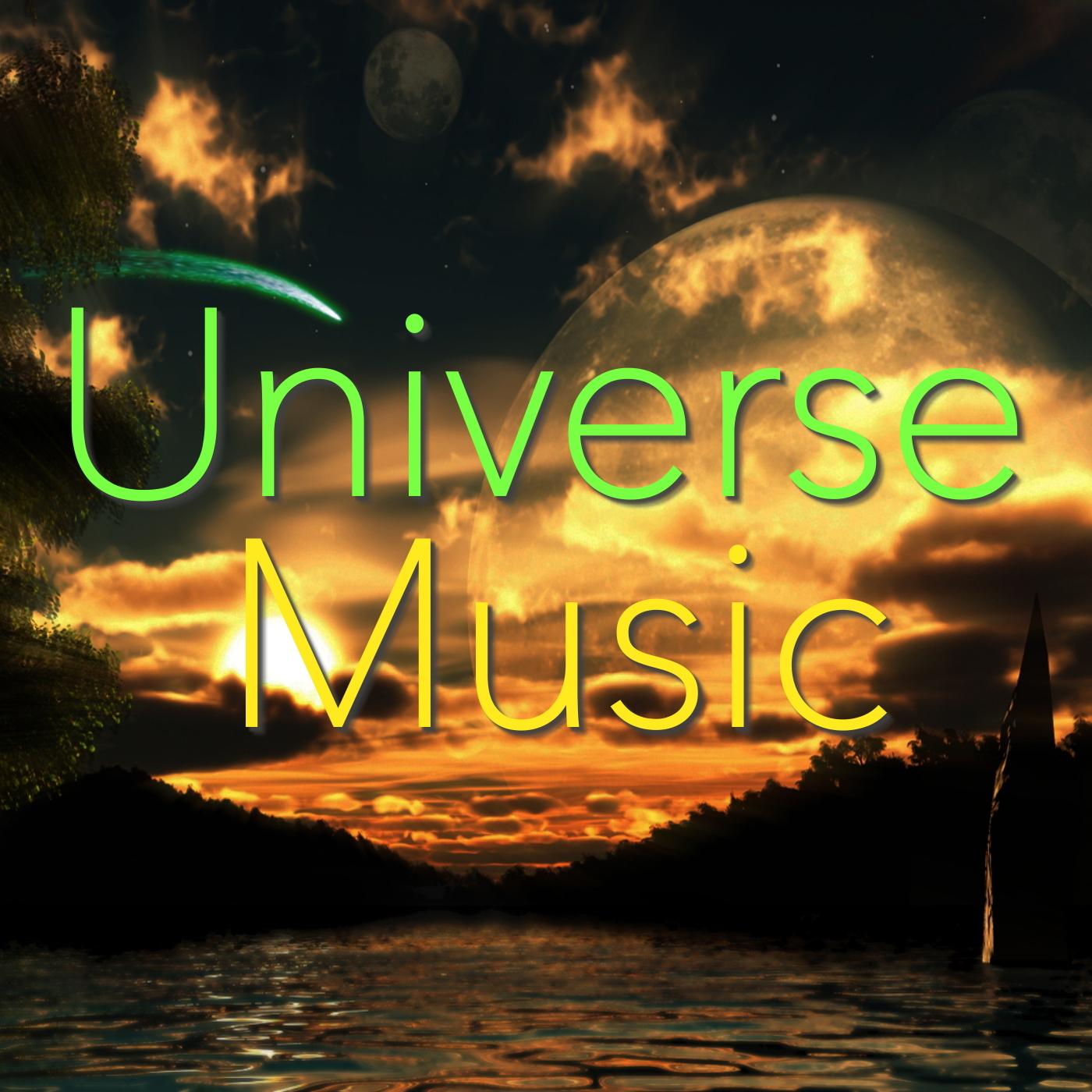 the earths gravitational pull