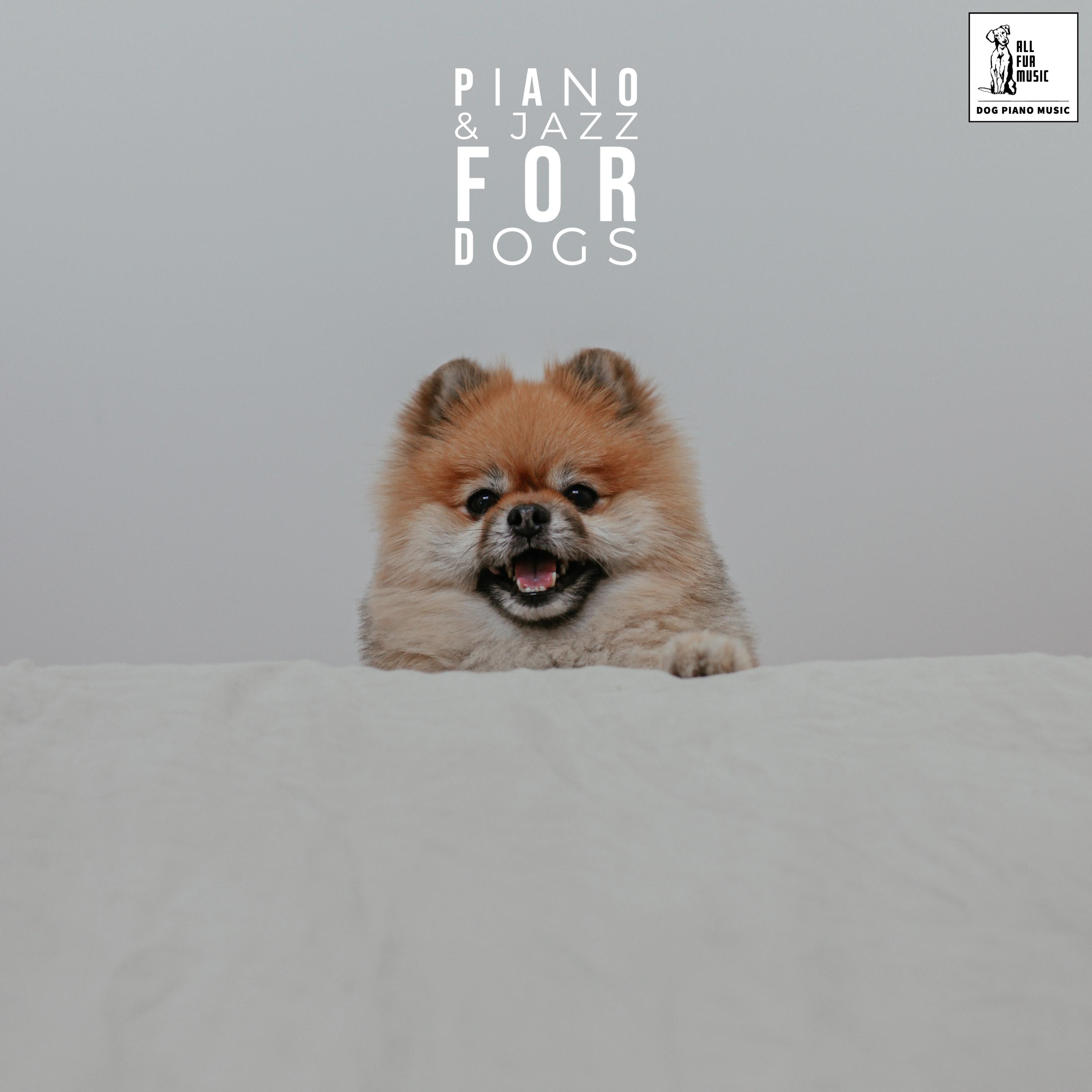 Piano And Jazz For Dogs