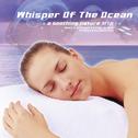 Whisper of The Ocean专辑