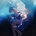 普通disco