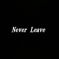 never leave