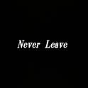 never leave专辑