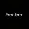 never leave专辑