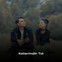 Kollarimdin Tut专辑